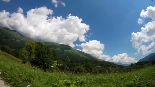 Santuario en la naturaleza — Vídeo de stock