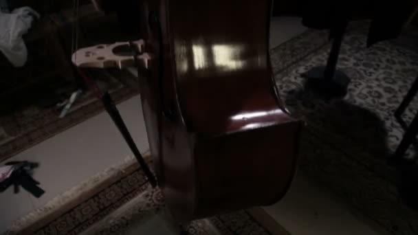 Cello player — Stock Video