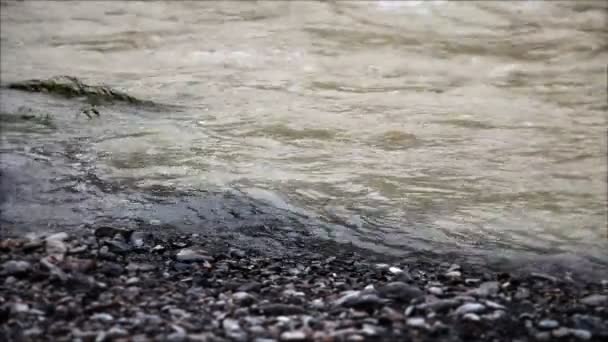 Vista de una orilla del río arenoso y el ramal en el río — Vídeos de Stock