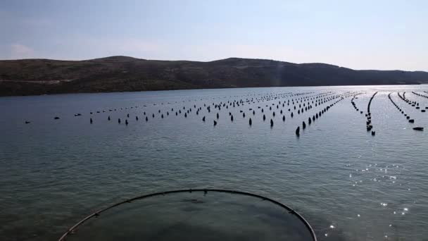 Shot of the fish farm near Split — Stock Video