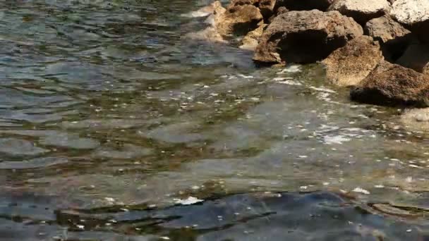 Um tiro de mar poluído — Vídeo de Stock