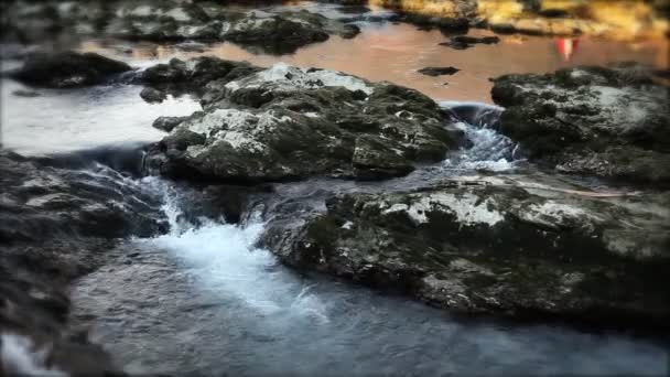 Close up van stromend water — Stockvideo
