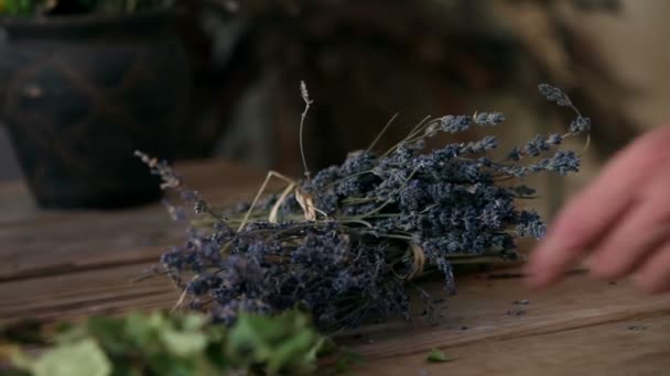 Hand setting a decoration of lavander on table — Stock Video
