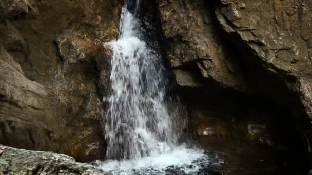 Colpo di ruscello dalle rocce nei boschi — Video Stock