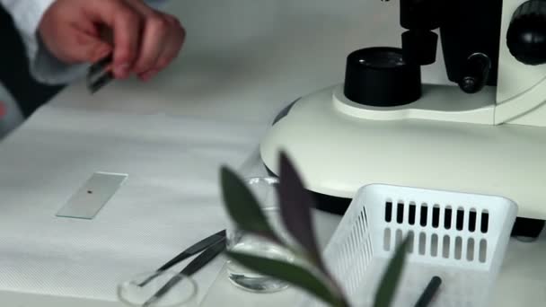 Shot van de student cuting zaad dat hij zal plaats deze onder de Microscoop te bestuderen — Stockvideo