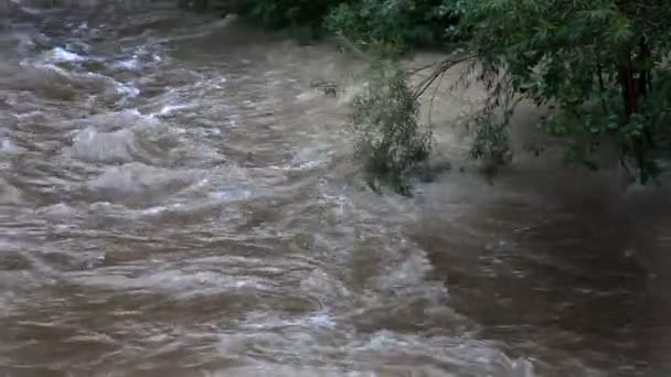 Wiev de la superficie ondulada del agua con algunas ramas en la orilla del río — Vídeo de stock