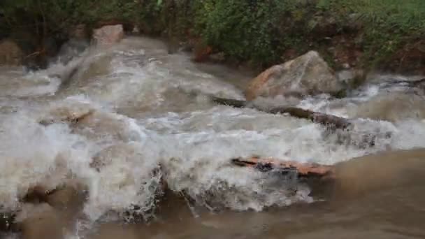 Наводнение в реке — стоковое видео