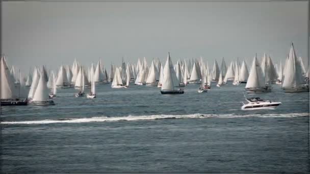 Bateaux à voile — Video