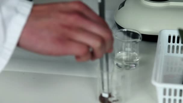 Close up of the student studying seed under the microscope — Stock Video