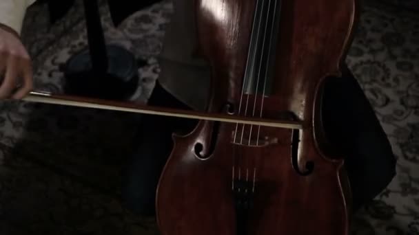 Violoncellista — Stock video