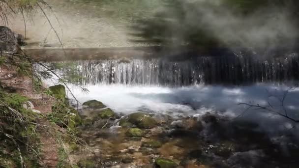 Nog een shot van een rivier stroomversnellingen met ochtendnevel — Stockvideo