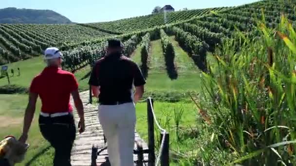 Jeřáb záběr dvojice, která jde hrát golf po krásné krajině golfové hřiště uprostřed vinic — Stock video