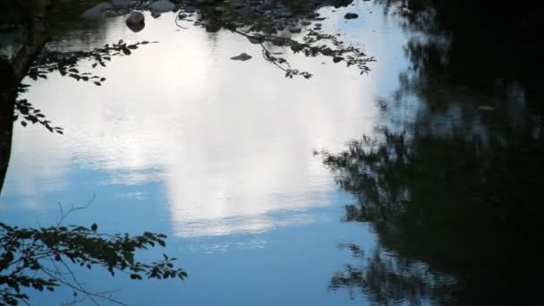 Отражение в воде — стоковое видео