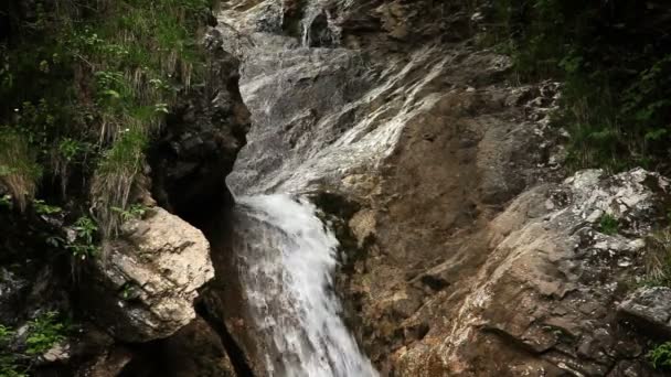 Shot of stream out of stones in woods — Stock Video