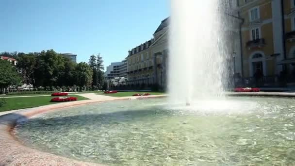 Skott av en business par i kärlek promenader i parken — Stockvideo