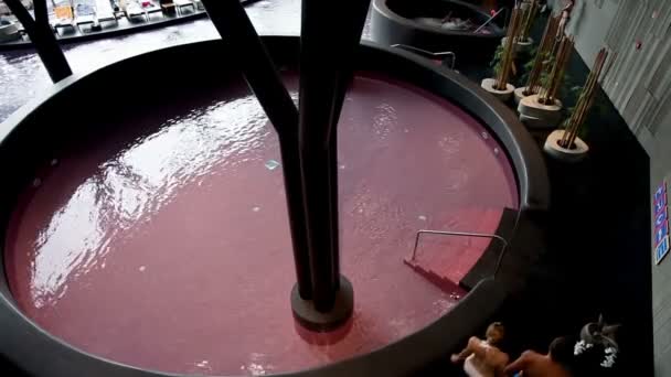 Paar in einem rosa Pool — Stockvideo