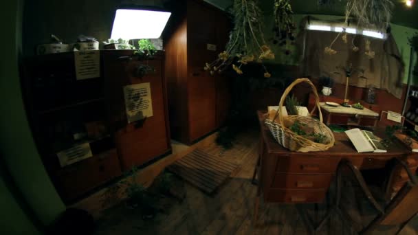 Старий офіс для збору і сушіння трав — стокове відео