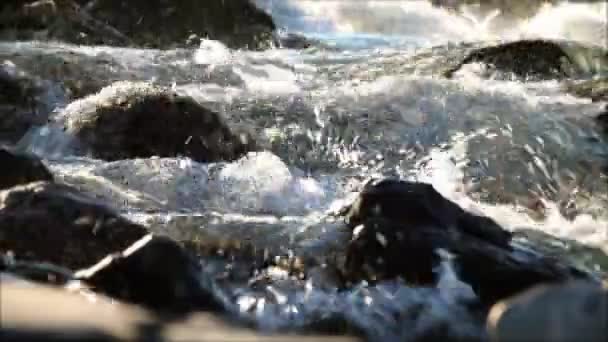 Close up of running water — Stock Video