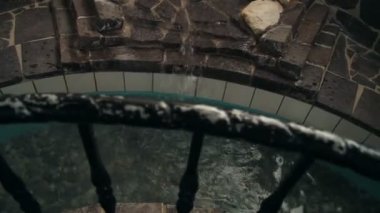 Konuk olarak suda yürüyen bir sağlık