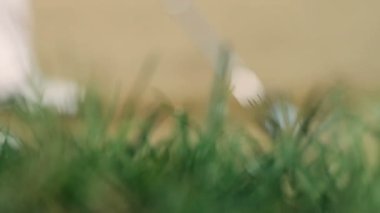 bir golf salonu için doğrudan beyaz golf topu çarptığında golf sahası üzerinde atış yukarıya kapatmak