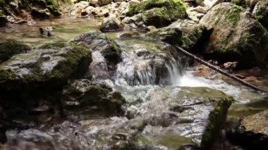 bazı dalları ile River rapids