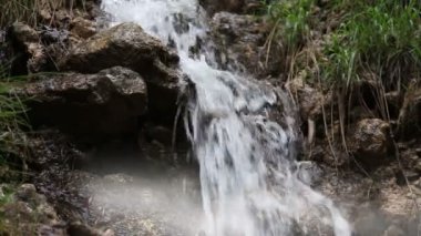 Ormanda küçük bir dere