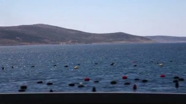 hareket halindeki arabadan yapılan bölünmüş yakınındaki sahil panoramik çekim