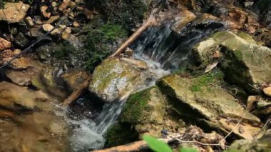 ormanda küçük nehir