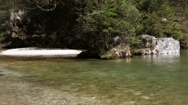 Still shot of a river and coastline — Stock Video