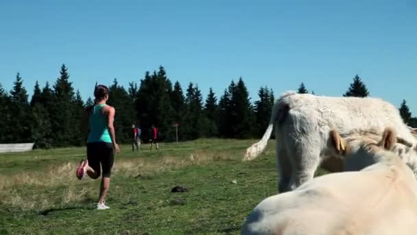 Jeune femme jogging sur un tableland — Video