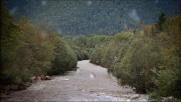 Überfluteter Fluss — Stockvideo