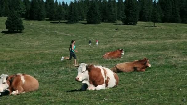 Jeune femme jogging sur un tableland — Video