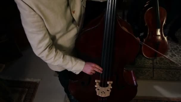 Bass player — Stock Video