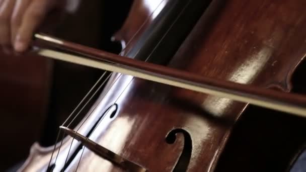 Cello player — Stock Video