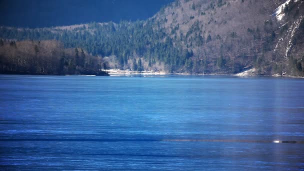 Ancora foto del lago di Bled con la foresta circostante e le montagne — Video Stock