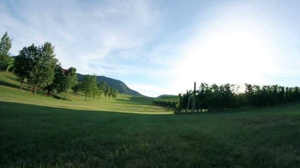 Nära upp skott av ett däck under körning genom vingård med särskilda solen reflektion — Stockvideo