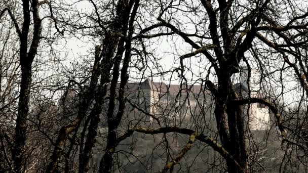 Castle behind tree branches — Stock Video