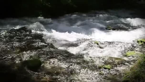 Fortfarande skott av en river rapids — Stockvideo