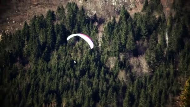 Strzał spadochroniarz pływające powyżej lasu — Wideo stockowe