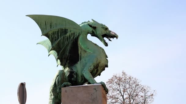 Κοντά shot της Λιουμπλιάνα ένα άγαλμα δράκος — Αρχείο Βίντεο