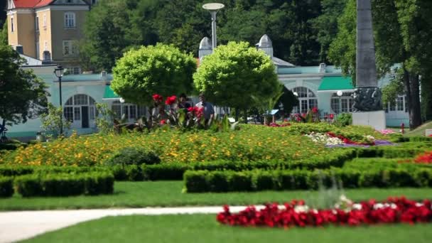 Bild på ett äldre par promenader i parken — Stockvideo