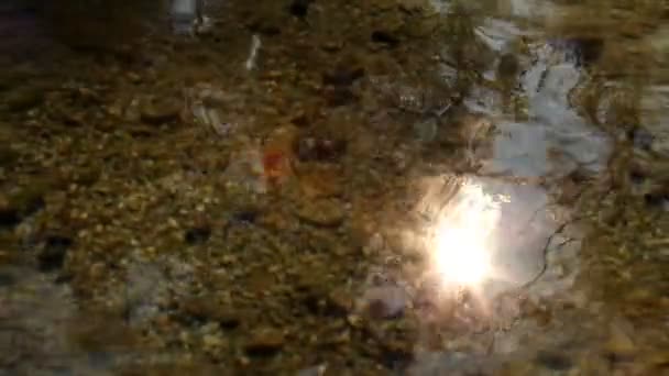 Выстрел солнца отражается на поверхности воды — стоковое видео