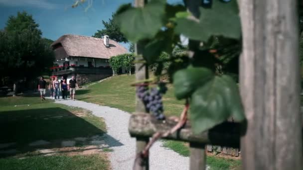 Tiro de um grupo de jovens que visitam uma fazenda antiga, mas muito preservada — Vídeo de Stock