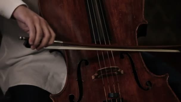Cellospieler — Stockvideo