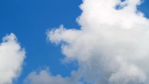 Diferentes formas de las nubes — Vídeo de stock