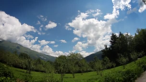 Shrine in the nature — Stock Video