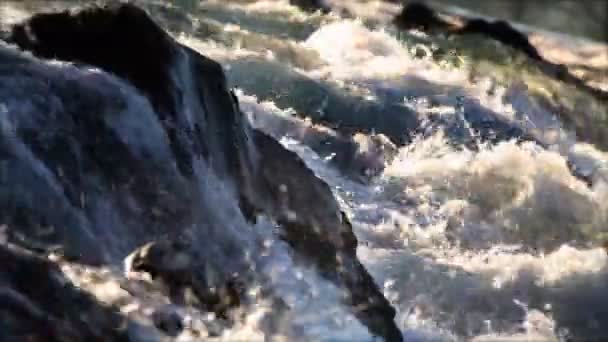 Primo piano dell'acqua corrente — Video Stock