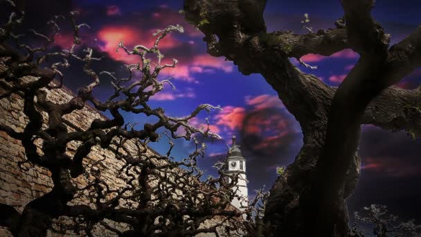 Shot of scary looking tree branches and sky with moon — Stock Video