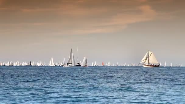 Barcos en el mar — Vídeo de stock