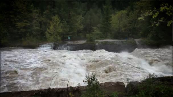 Inondation rivière — Video